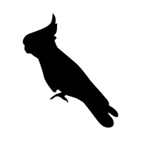 200x200 Shape Shapes Silhouette Silhouettes Cutout Cut Out Bird Birds