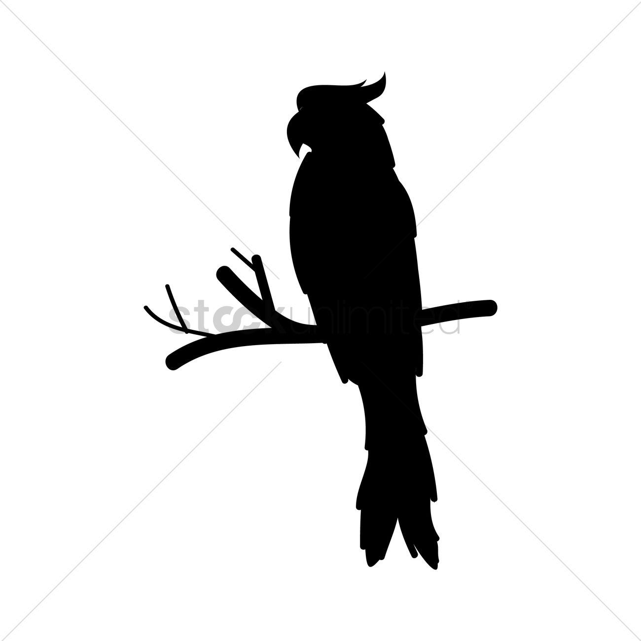 1300x1300 Silhouette Of Parrot Vector Image