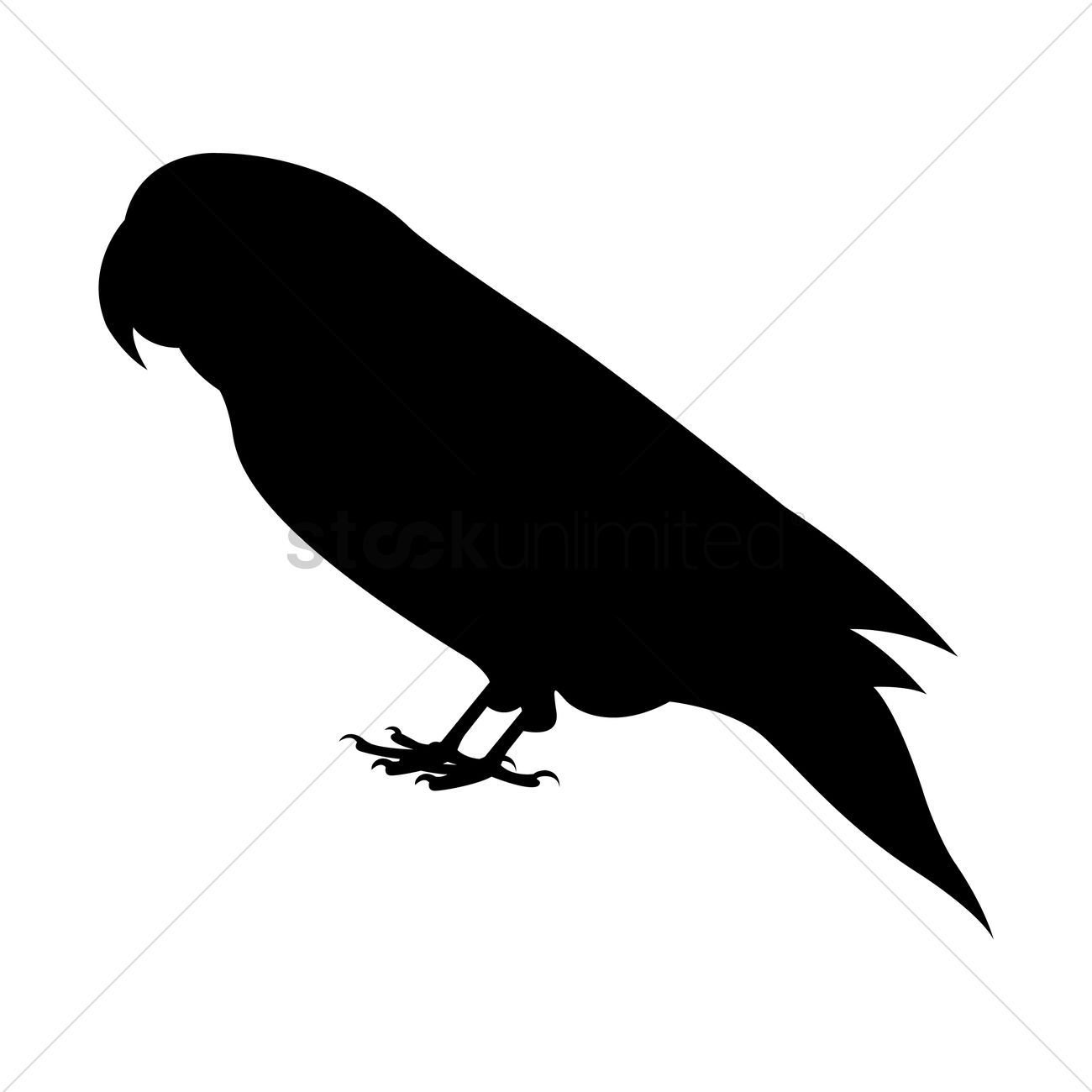 1300x1300 Silhouette Of Parrot Vector Image
