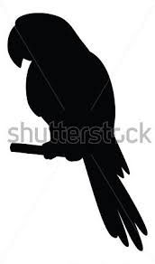 172x292 Parrot a pole silhouette vector 768226  +by+alexcoolok