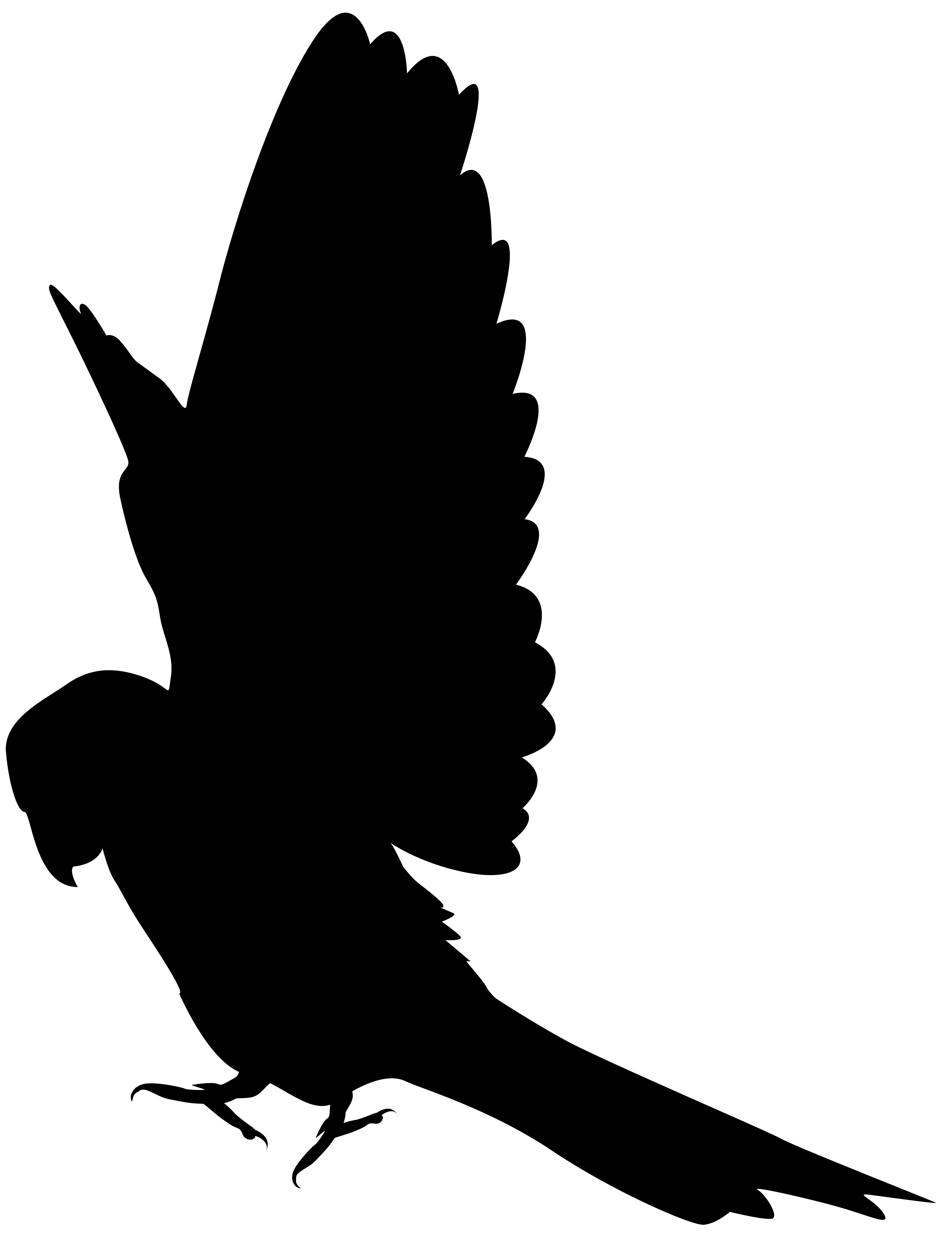 6117x8000 Parrot Silhouette Clip Art Png Imageu200b Gallery Yopriceville