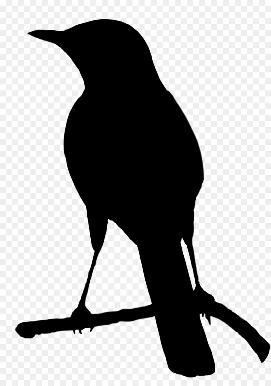 900x1280 Bird Crows Parrot Silhouette Clip Art