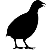 160x160 Partridge Silhouette Vector Graphics Stock Image And Royalty Free