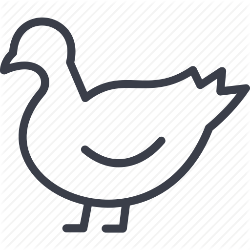 512x512 Bird, Contour, Partridge, Silhouette, To Fly, Wing Icon Icon