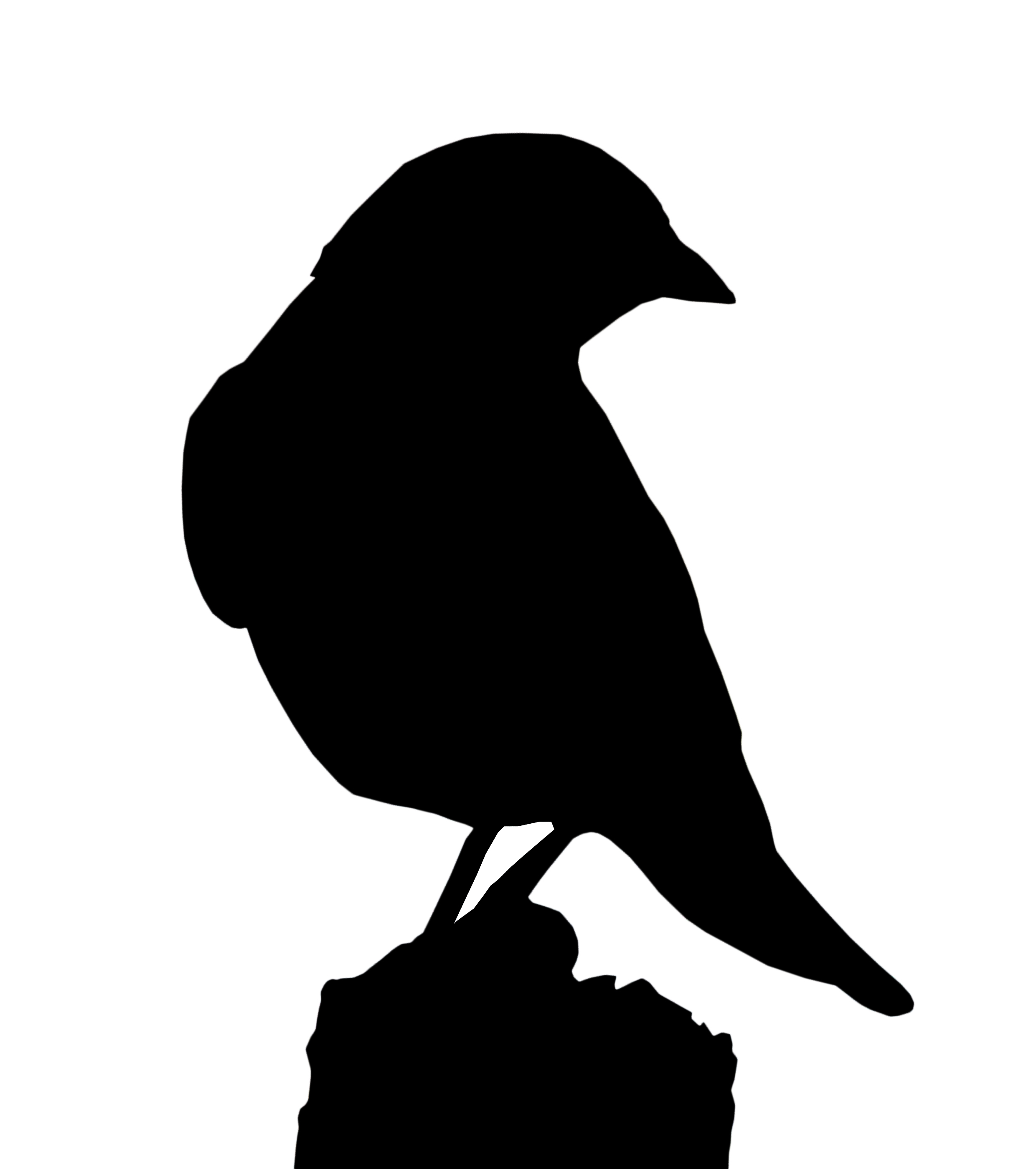 2480x2800 Silhouettes