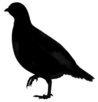 400x418 Crow Sourcing