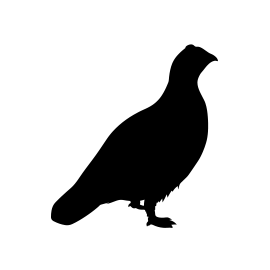 270x270 Faulhaber Game Calls