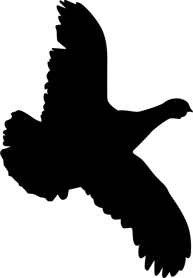 675x972 Flushed Partridge Wall Decal