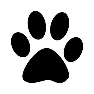300x300 Best Photos Of Paw Print Silhouette