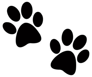 300x253 Two Dog Paw Prints