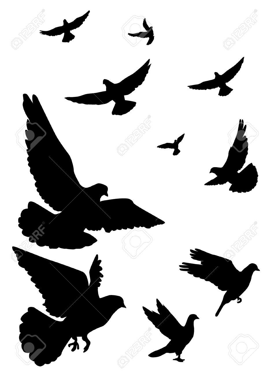 917x1300 White Clipart Pigeon Flying 4054427