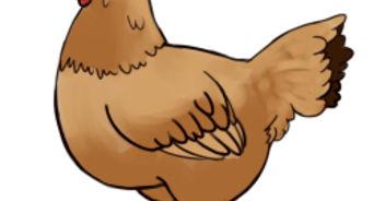 342x184 How To Draw A Feather 8 Steps (With Pictures)