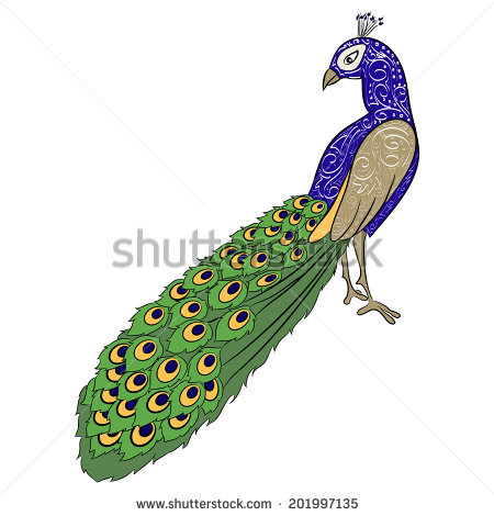 450x470 Images Of Peacock For Drawing