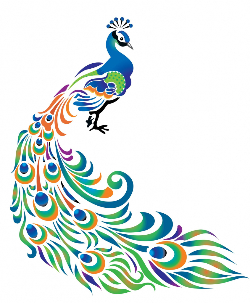 845x1024 Outline Drawing Of Peacock