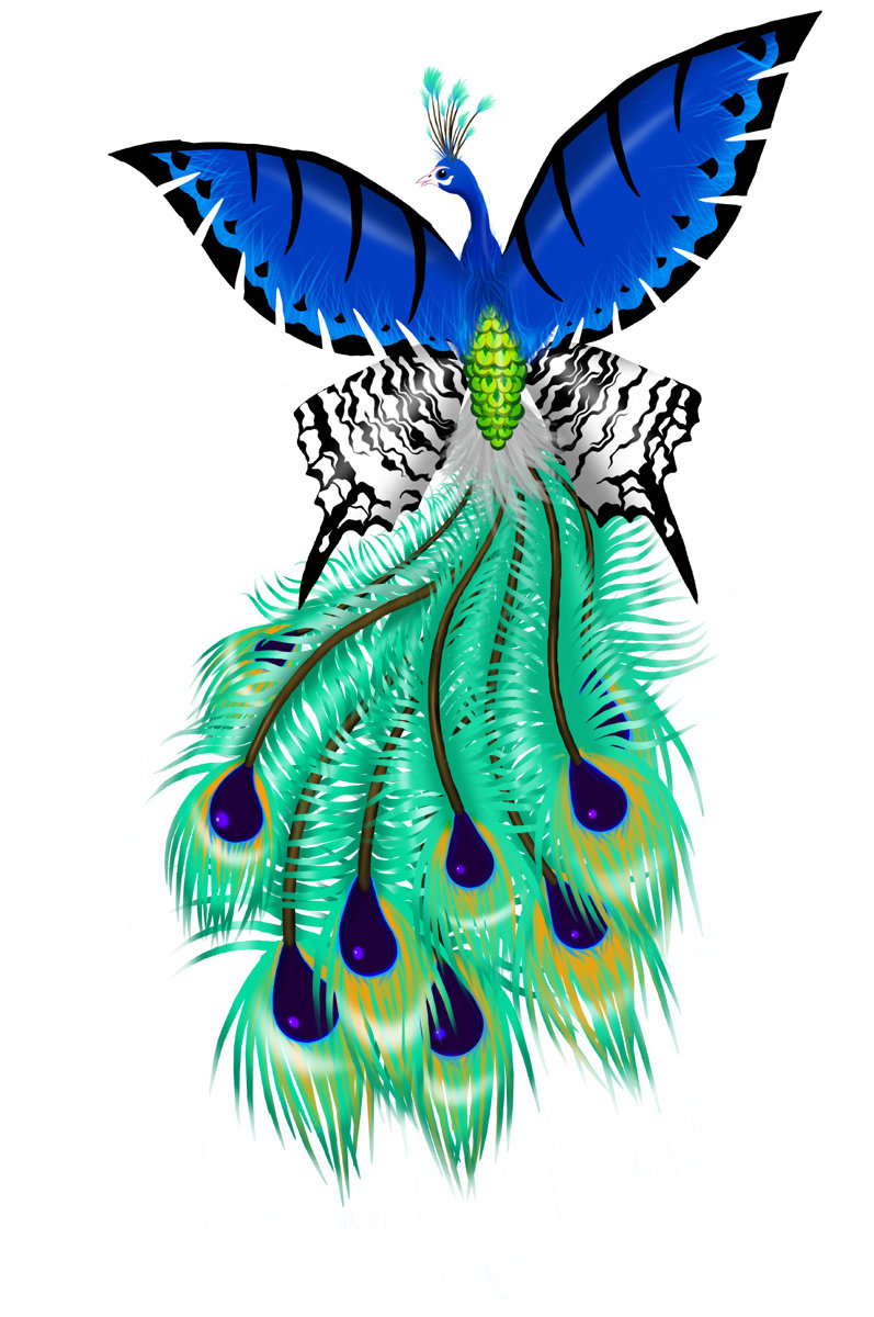 797x1200 Peacock Feather Butterfly Drawing
