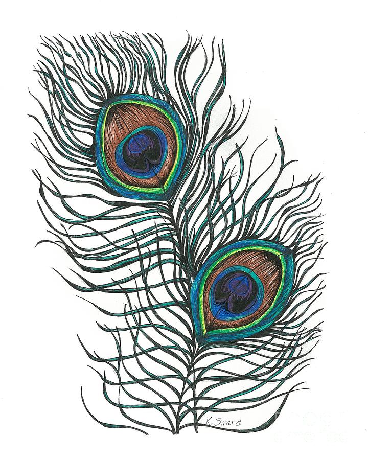 720x900 Peacock Clipart Sketch