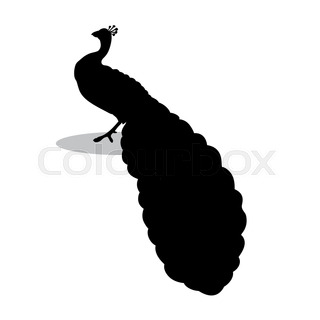 320x320 Card With Abstract Beautiful Peacock In Black And White Stock