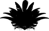 160x102 Peacock Feather Fan Silhouette On Black Stock Image And Royalty
