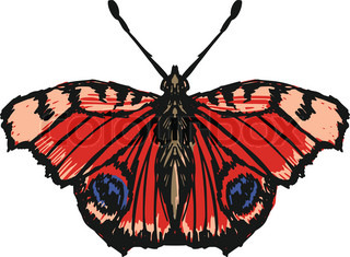 320x235 Flying Eagle, Peacock And Pheasant Vector Logo Icons Showing