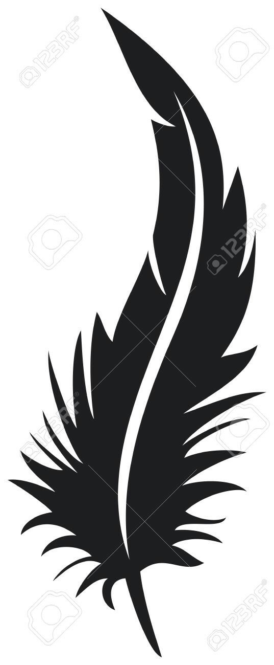 537x1300 Peacock Drawing Outline