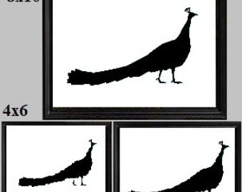 340x270 Peacock Silhouette Clip Art