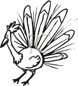 273x300 Peacock Clipart Black And White