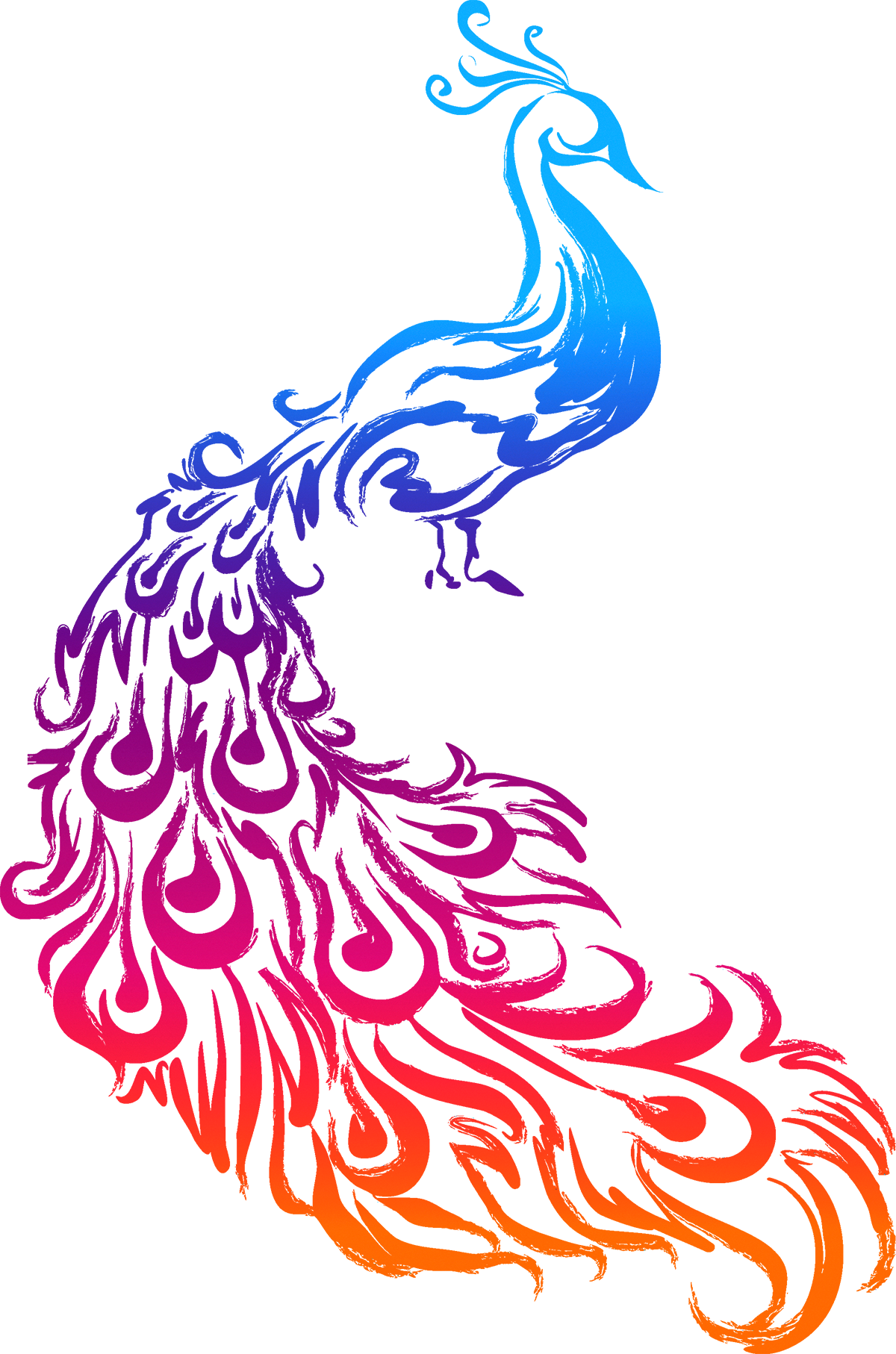 Peacock Silhouette Clip Art at GetDrawings | Free download