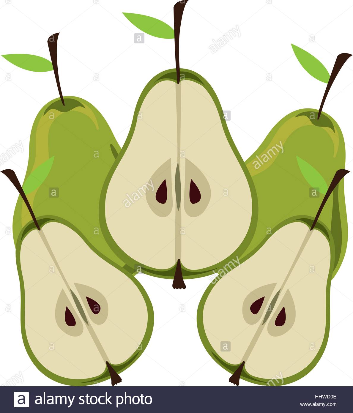 1188x1390 Silhouette Colorful Set With Pears Vector Illustration Stock