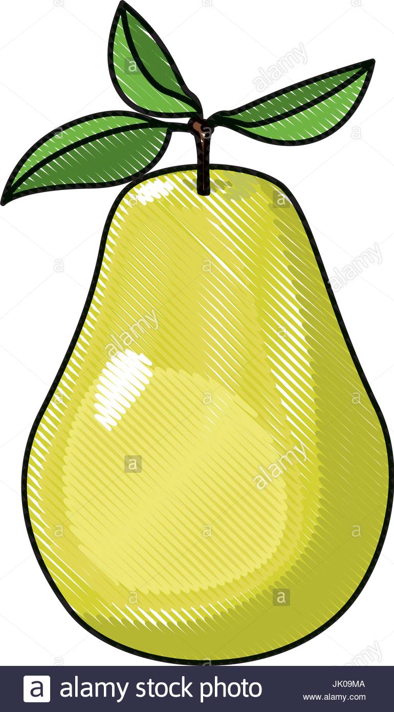 770x1390 White Background Of Colored Crayon Silhouette Of Pear Fruit Stock