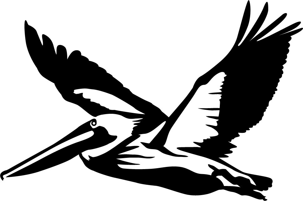 969x643 Pelican Clipart Silhouette Many Interesting Cliparts
