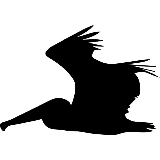 626x626 Pelican Flying Side Silhouette Icons Free Download