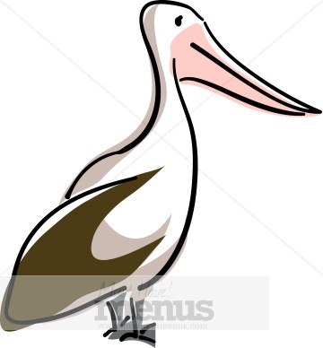 360x388 Sea Bird Clipart Pelican