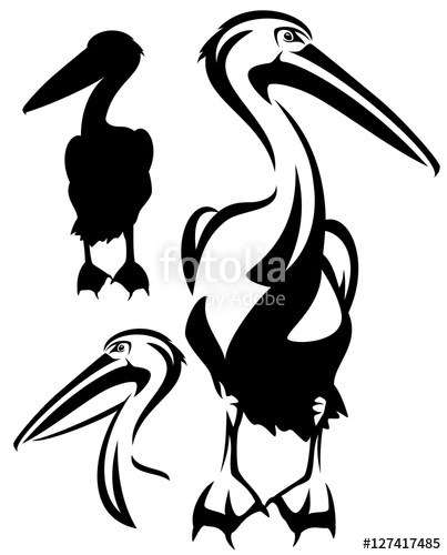 403x500 Pelican Bird Outline And Silhouette