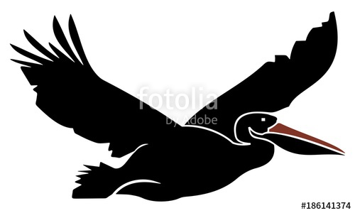500x300 Silhouette Of Flying Pelicans Stock Image And Royalty Free Vector
