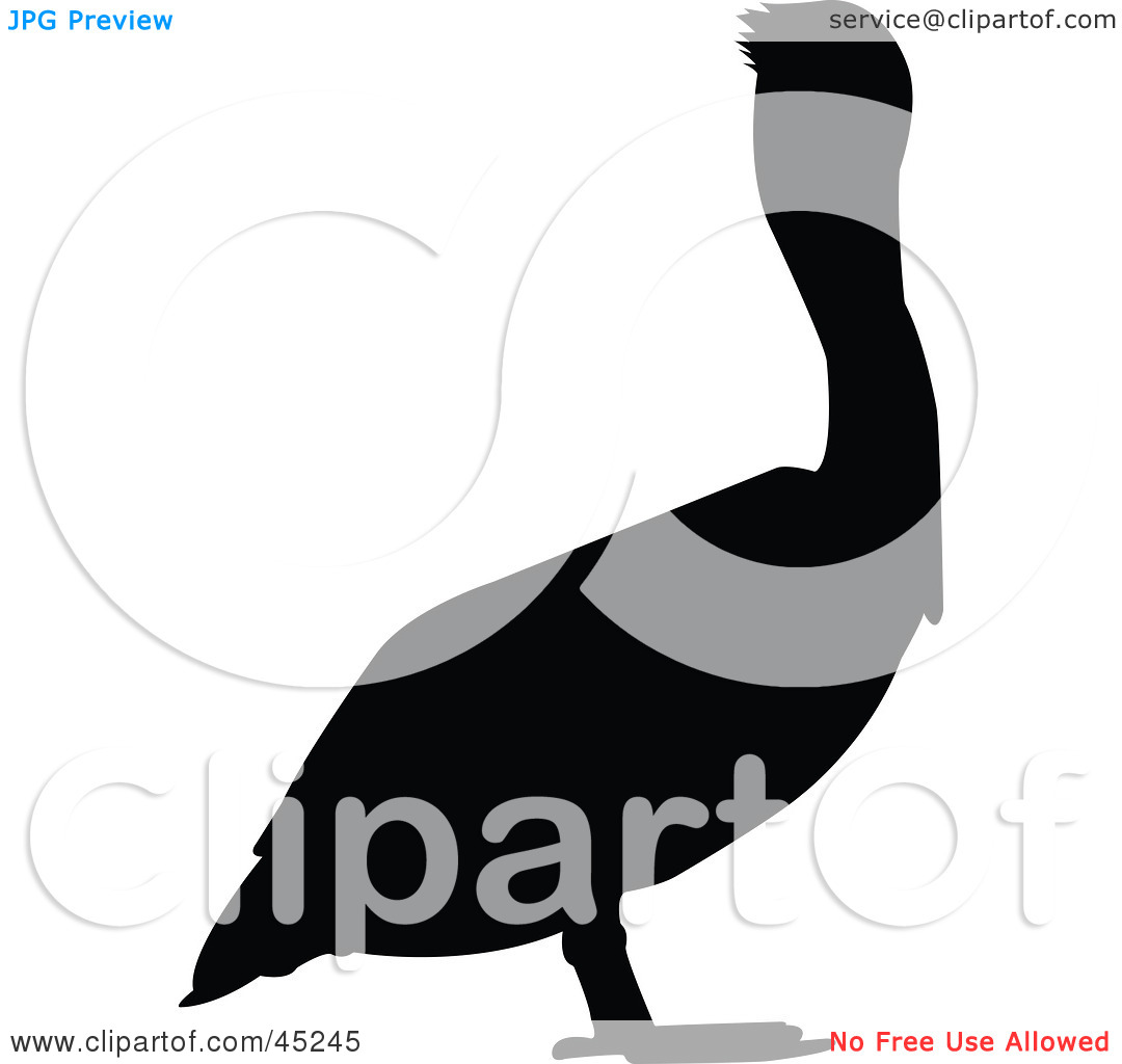 1080x1024 Pelican Clip Art Free Clipart Panda