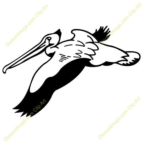500x500 Pelican Clipart Flying