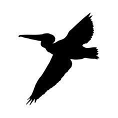 236x236 Pelican Silhouette Tattoo, Tatting And Tattoo Graphic
