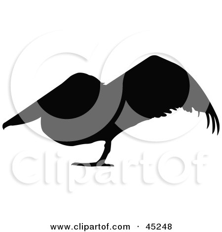 450x470 Royalty Free (Rf) Clipart Of Bird Silhouettes, Illustrations