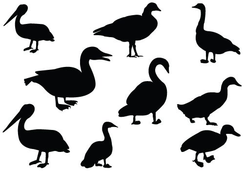 500x350 Duck Silhouette Vector Clipart