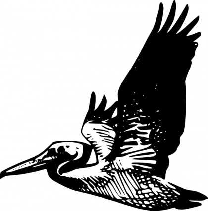 420x425 Flying Pelican Clip Art Vector, Free Vector Graphics