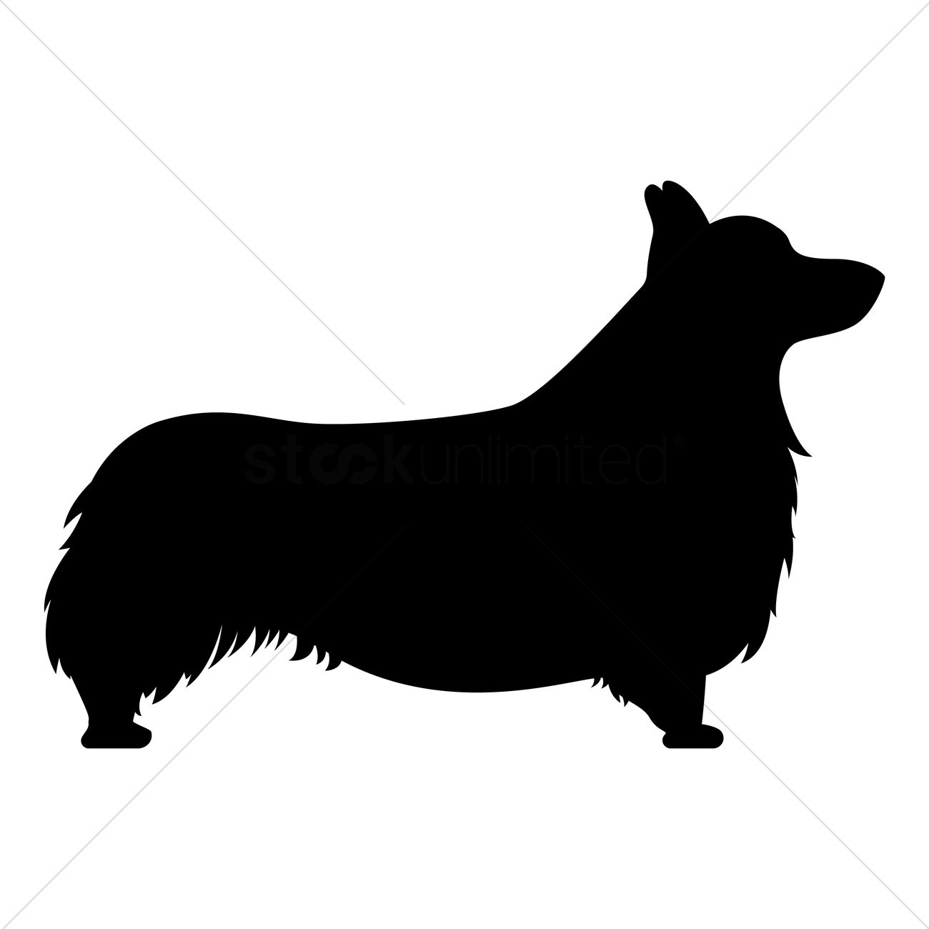 1300x1300 Pembroke Welsh Corgi Vector Image