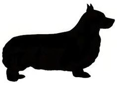 236x176 Pin By Isha Jade On Pembroke Welsh Corgi Corgi