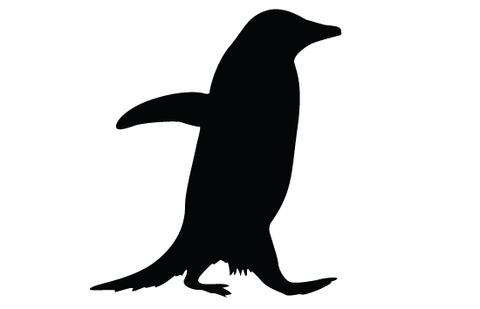 480x309 Penguin Silhouette Vectors Silhouettes Vector