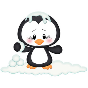 300x300 Silhouette Design Store