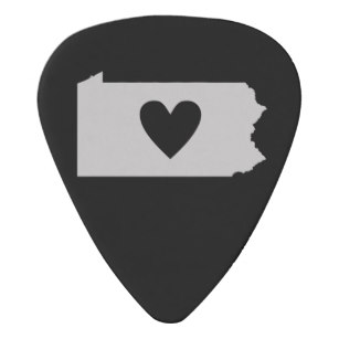 307x307 Pennsylvania Guitar Picks Amp Accessories Zazzle