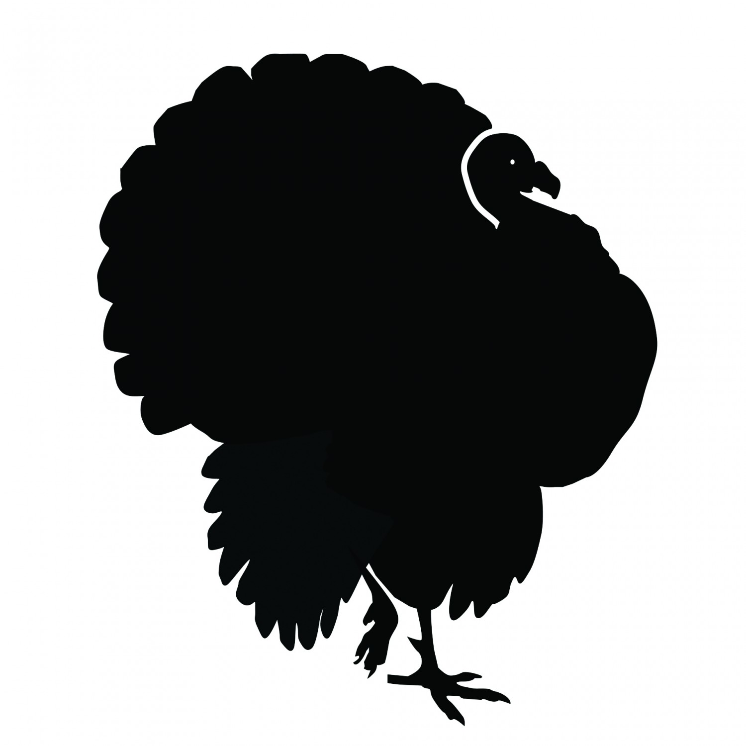 1500x1500 Turkey Location Contest