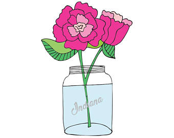 340x270 Indiana State Flower Etsy