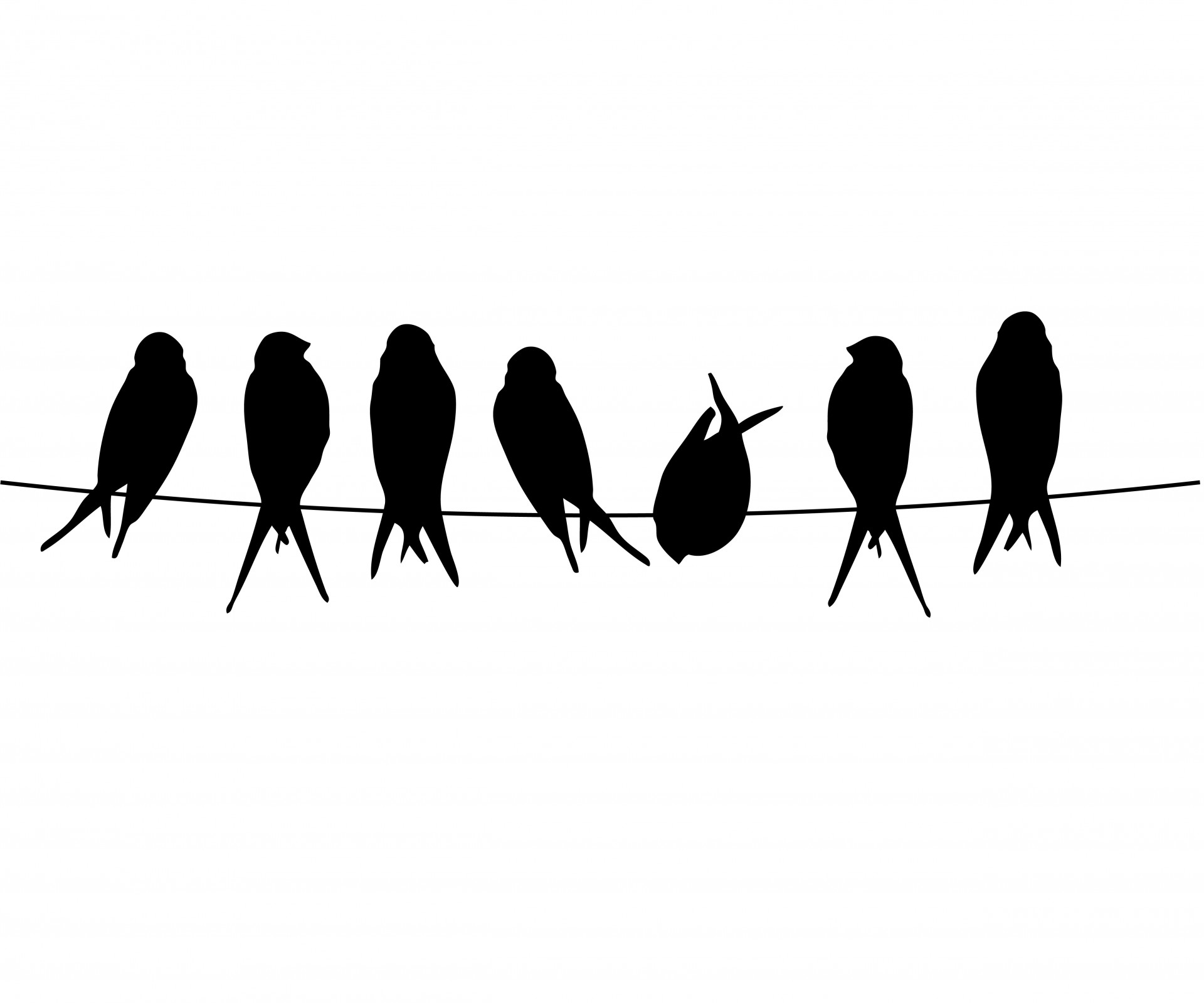 1920x1599 Birds On A Wire Free Stock Photo