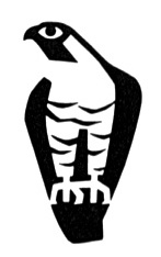 147x234 18 Best Peregrine Images On Peregrine, Peregrine