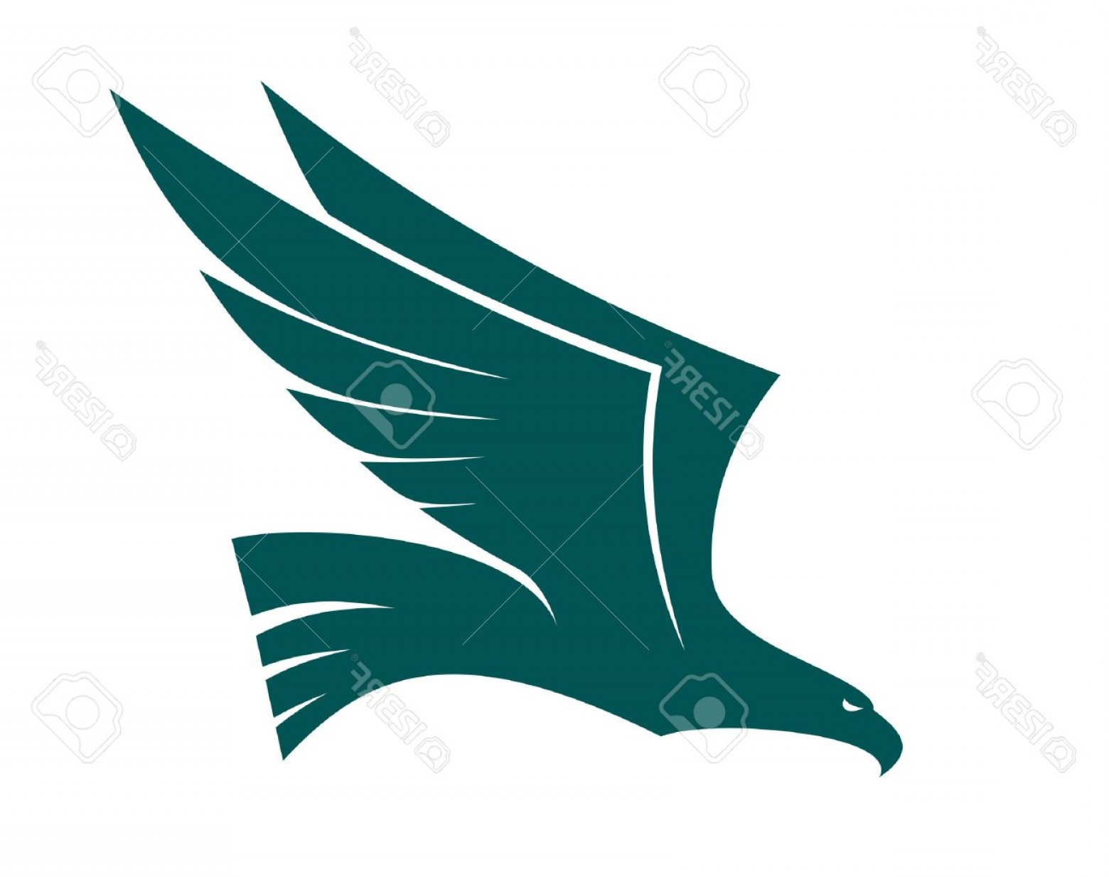 1560x1233 Photomajestic Flying Falcon Bird With Raised Wings In Profile Blue